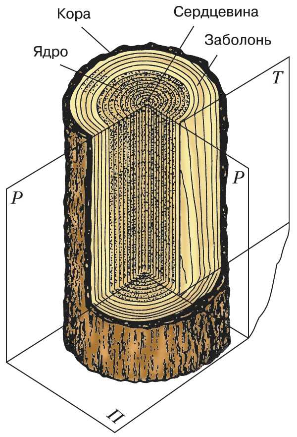Учитывайте характеристики древесины