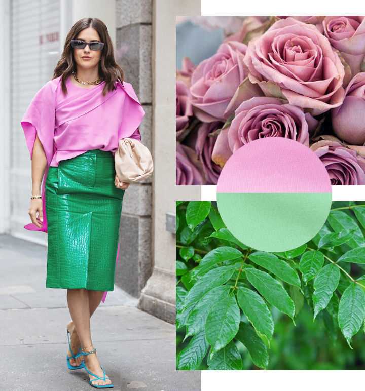Сочетание с цветом светло-зеленый: стильный и модный выбор | Название сайта